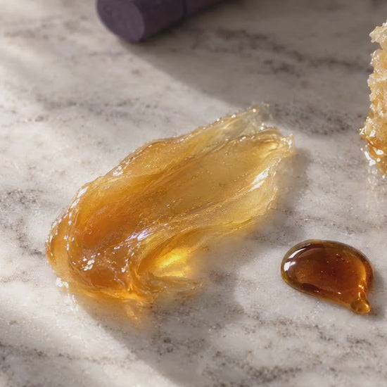 A short film of The Honey Lip